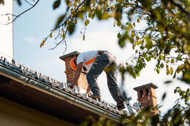 Roof Gutter Cleaning in Chula Vista, TX